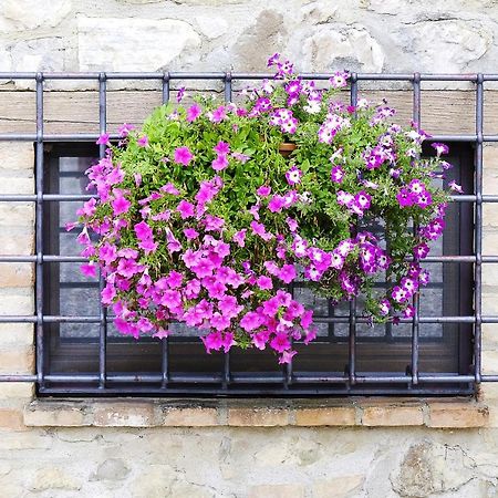 Casale Le Orme Bed & Breakfast Todi Luaran gambar