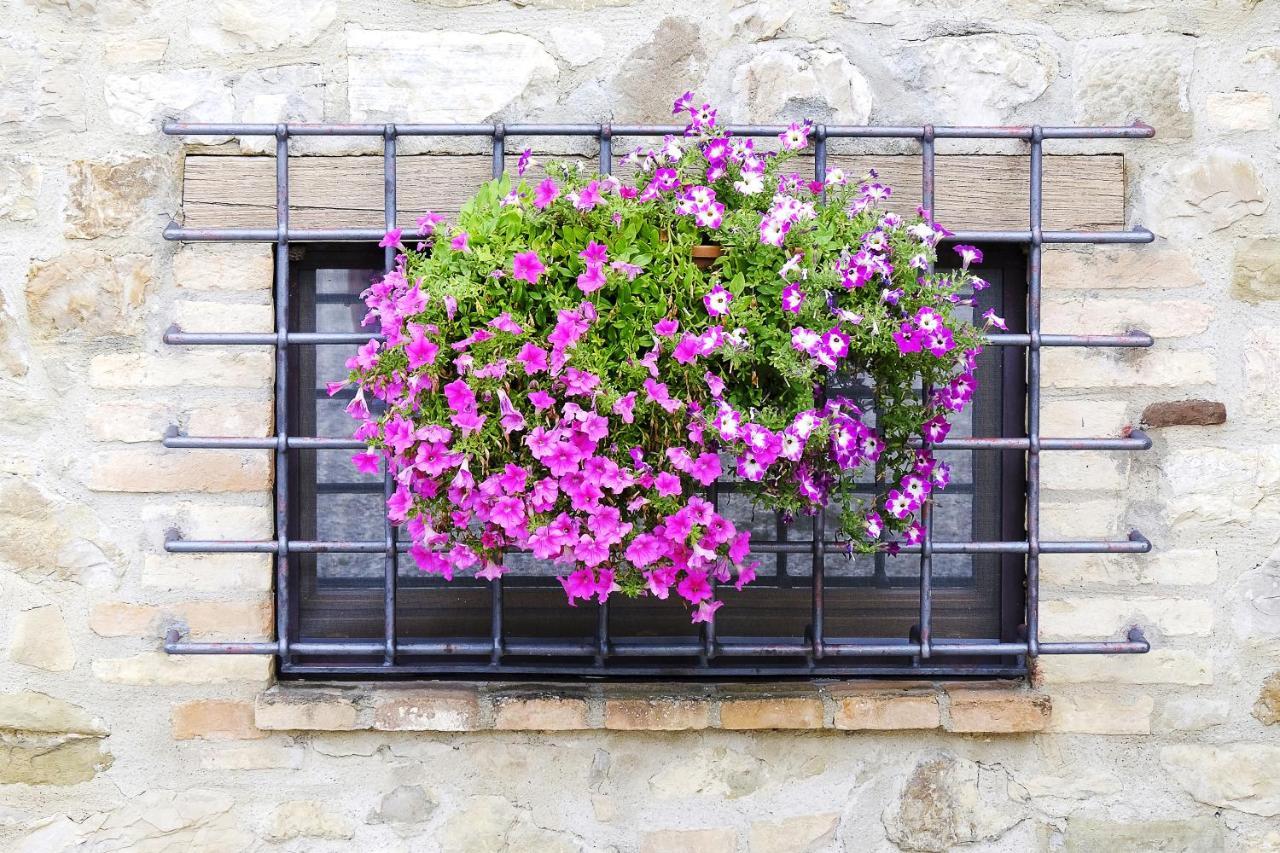 Casale Le Orme Bed & Breakfast Todi Luaran gambar