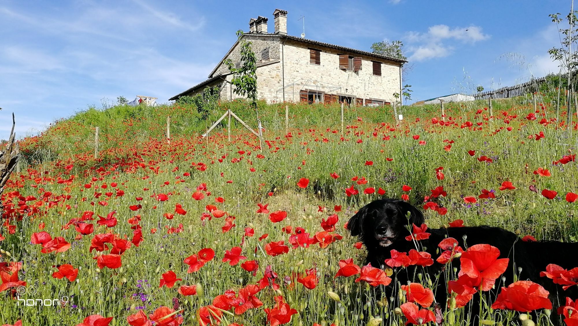 Casale Le Orme Bed & Breakfast Todi Luaran gambar